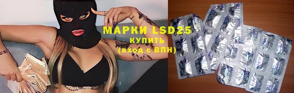 эйфоретик Алзамай