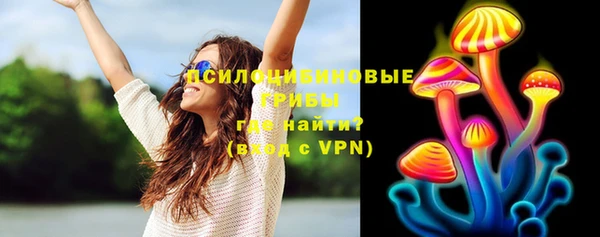 эйфоретик Алзамай