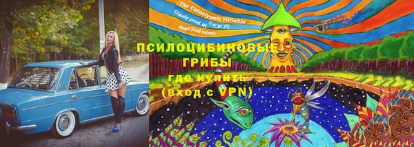 дживик Алексеевка