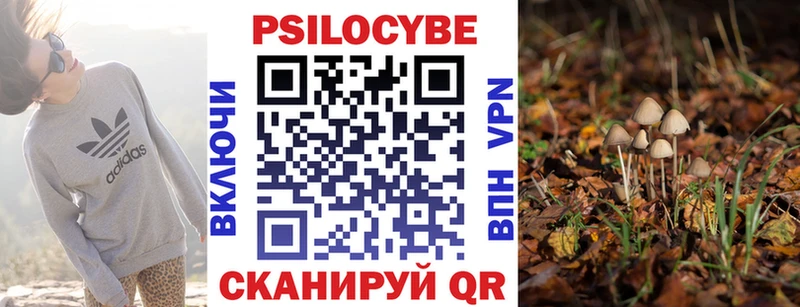 Галлюциногенные грибы мухоморы  купить наркоту  ОМГ ОМГ ссылки  Андреаполь 
